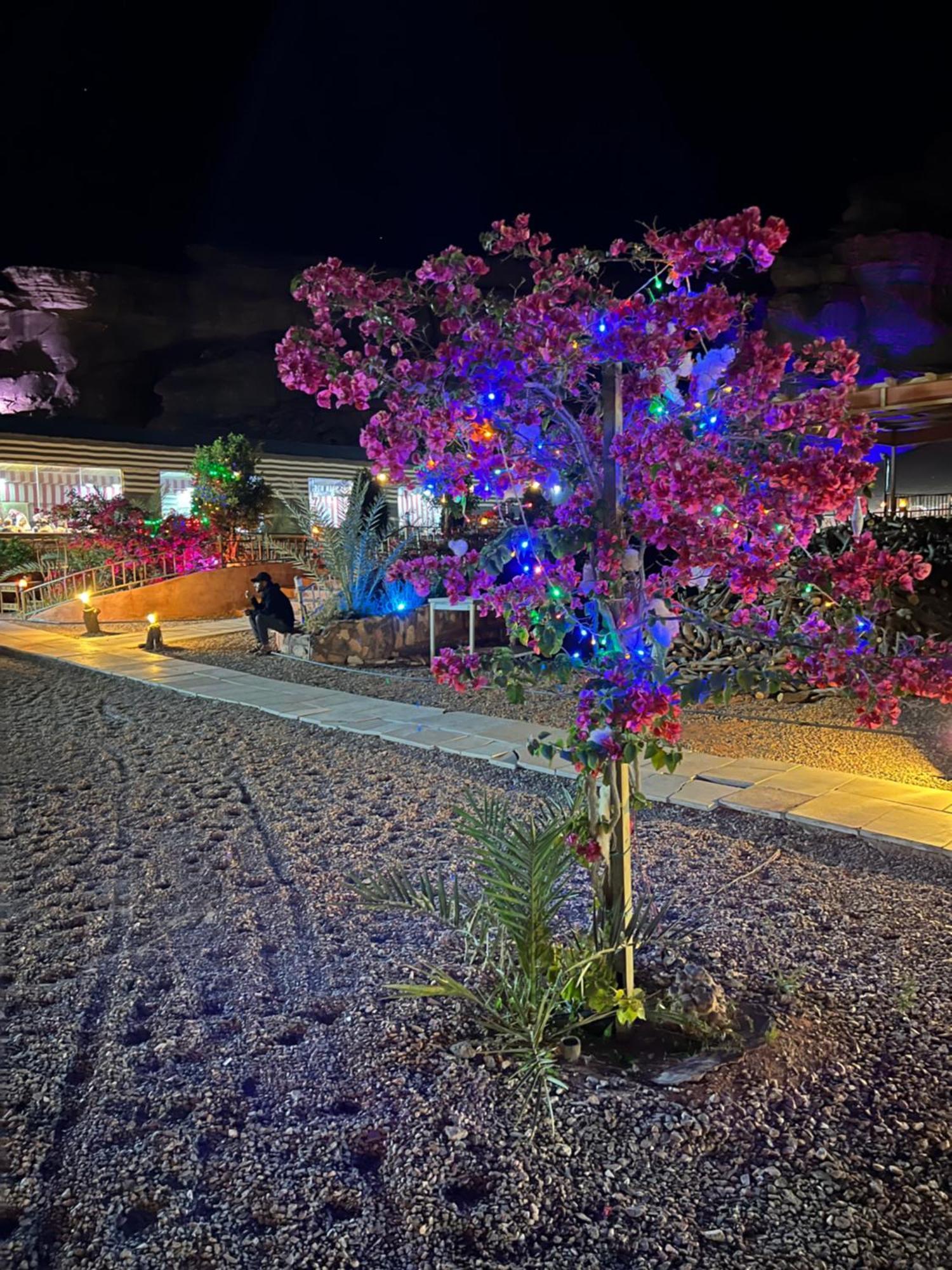Moon Magic Valley Apartman Rum vádi Kültér fotó